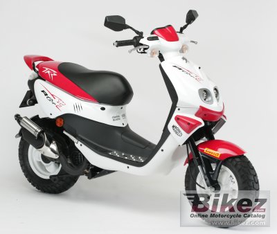 2008 Peugeot TKR 50 RCup photo